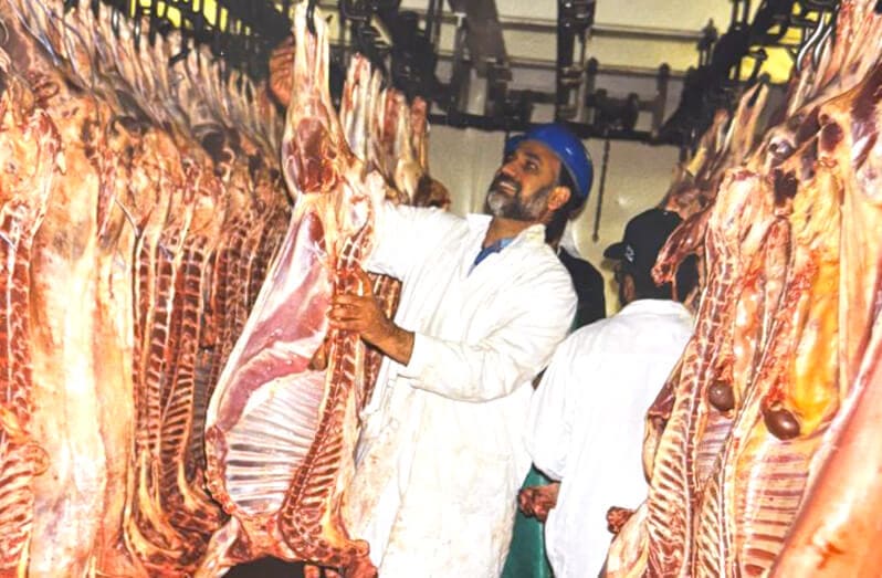 Mohammed Akram in the cold store with lamb carcasses, in the early days of the business