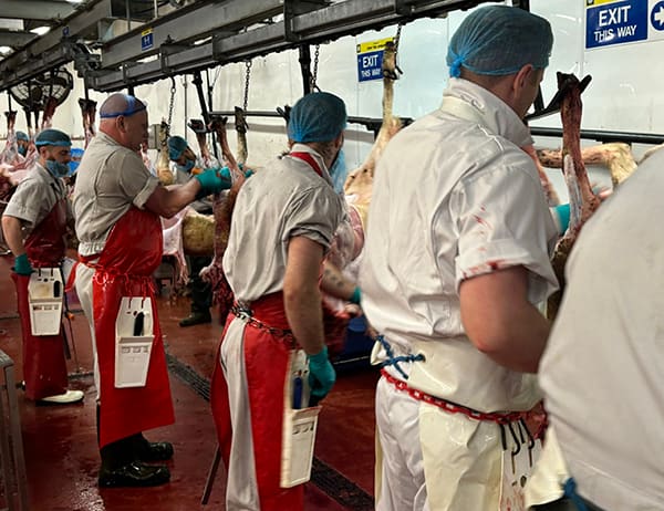 The team at work on the line
